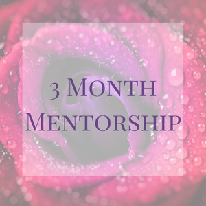 3 month Mentorship