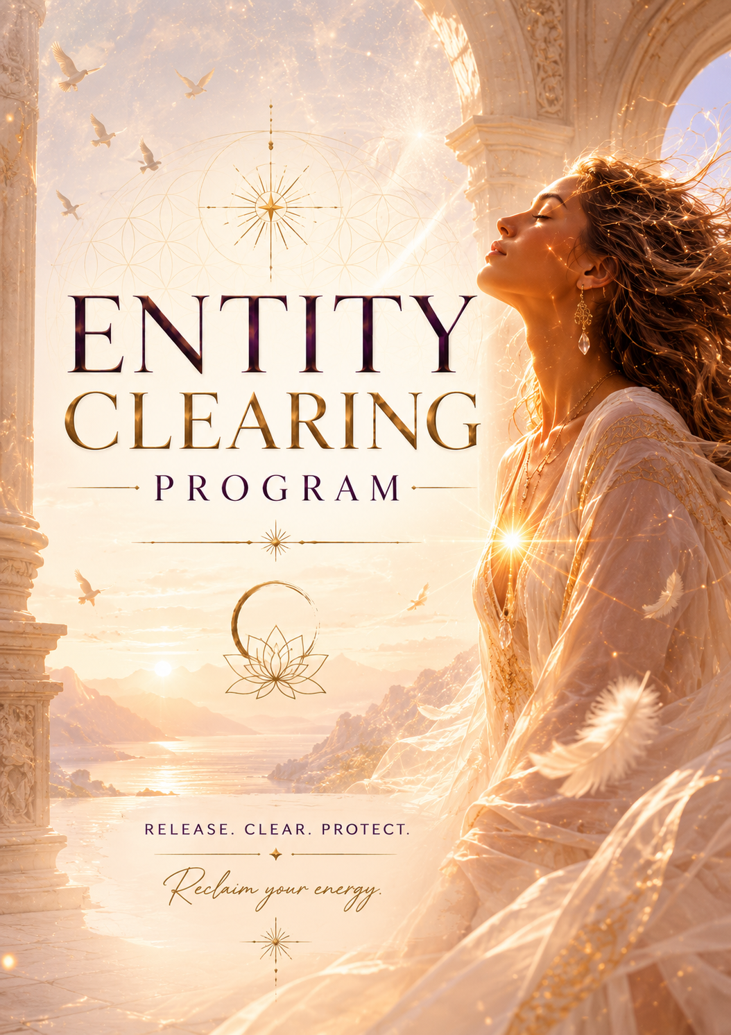 Entity Clearing Program