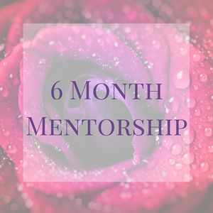 6 month Mentorship